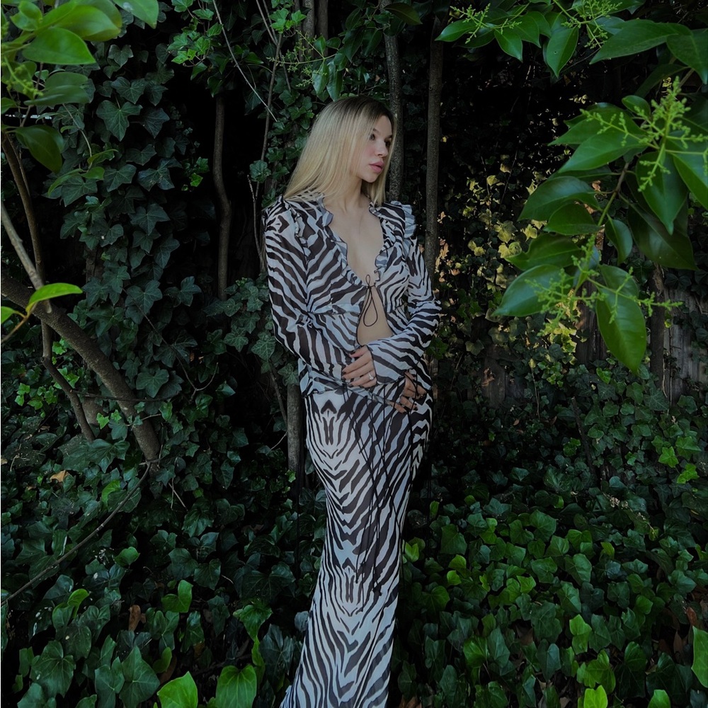 Zebra set - Picture 4 of 4